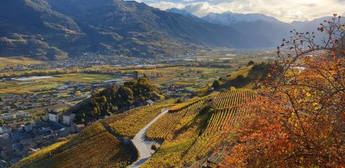 Фотографии мини отеля
Chez Constance