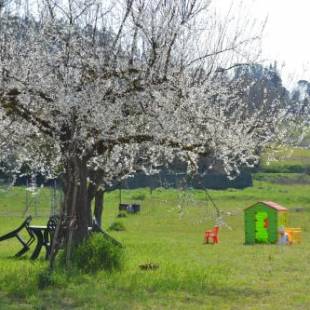 Фотографии мини отеля 
            B&B Pane e Rose