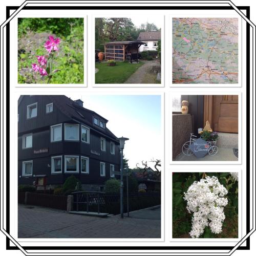 Фотография гостевого дома Haus Daheim