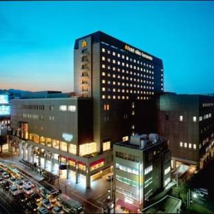Фотографии гостиницы 
            Hotel Nikko Kumamoto