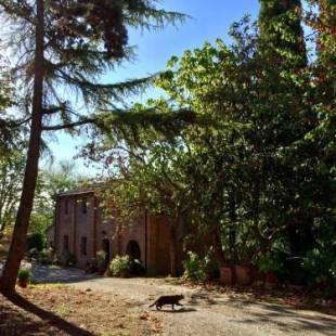 Фотографии базы отдыха
Agriturismo San Gregorio