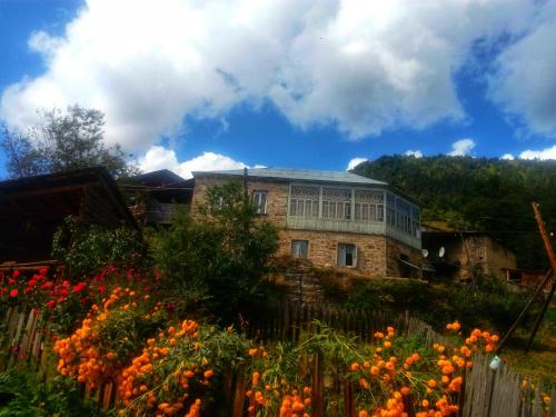 Фотография гостевого дома ieli