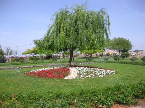 Фотографии апарт отеля
Aparthotel on Abuseridze 9