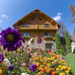 Фотография гостиницы Большая Медведица