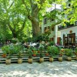 Фотография гостиницы Gastronomy Hotel Kritsa