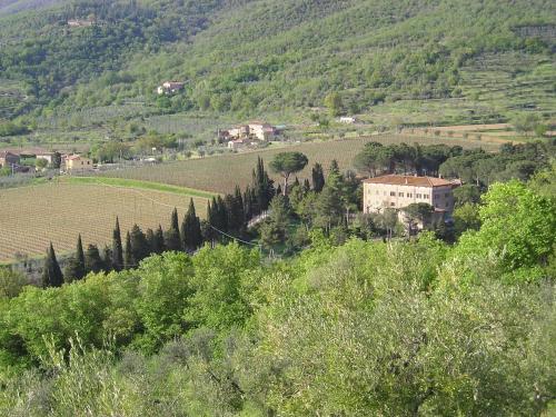 Фотография базы отдыха Il Maggese