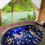 Фотография гостиницы Fivelements Retreat Bali