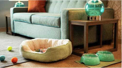 Фотография гостиницы Home2 Suites By Hilton Alpharetta, Ga