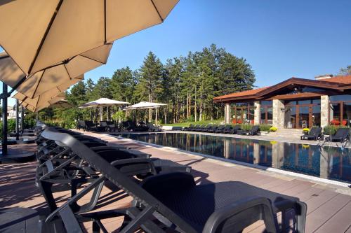 Фотография гостевого дома Esterra Vini Guest House