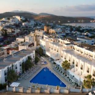 Фотография гостиницы Club Shark Hotel