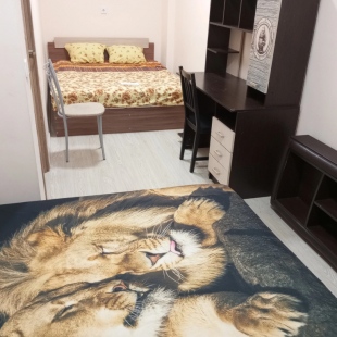 Фотография квартиры Апартаменты Roza House