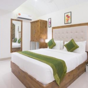 Фотография гостиницы Treebo Trend Amber International