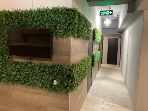 Фотографии хостела 
            Sky Boston Hostel