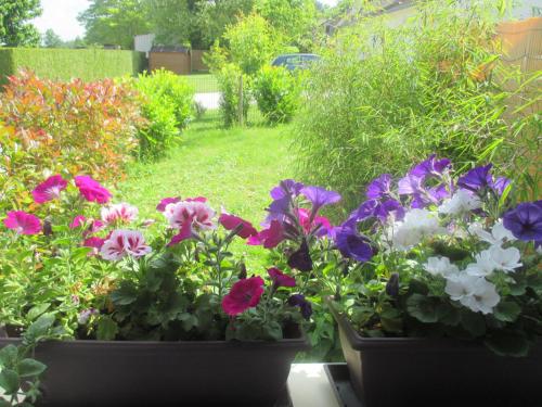 Фотография гостевого дома Chambre et Gîte Zen de Beauval- 800 m du Zooparc