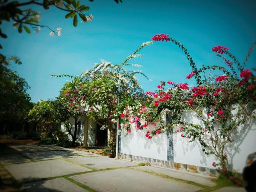 Фотография гостиницы La Vita Hotel