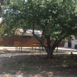 Фотография гостевого дома Диана