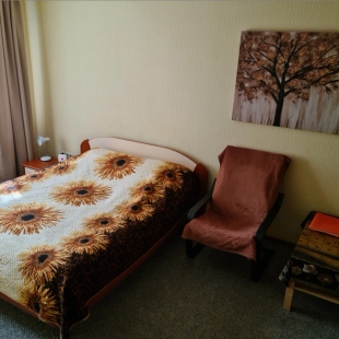 Фотография квартиры Квартира Однокомнатная Переулок Красный 8