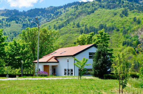 Фотография гостевого дома Solar da Castanha - Forest House
