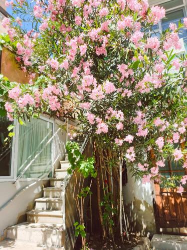 Фотография гостиницы Марани