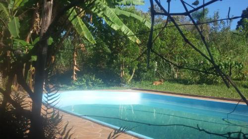 Фотография мини отеля Pousada Legal