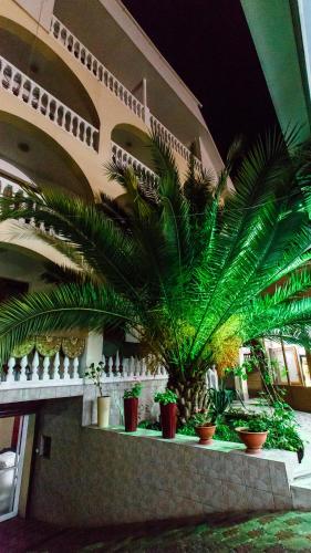 Фотография гостиницы Марта