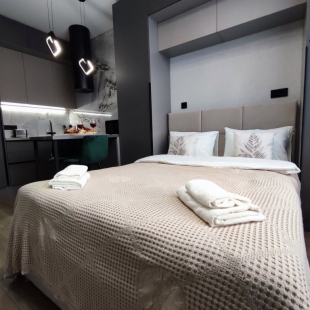 Фотография квартиры Апартаменты Snowy Peaks от Home24