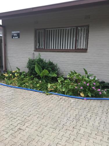 Фотография гостевого дома The Lighthouse Guesthouse