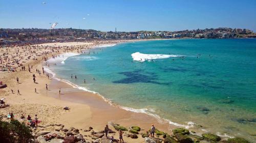 Фотография хостела Bondi Beach Backpackers