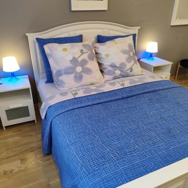 Фотографии квартиры 
            AlexHome (АлексХоум) на Новокуркинском шоссе