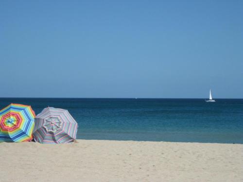 Фотография гостиницы Hampton Inn & Suites Boynton Beach