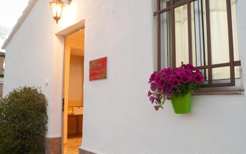 Фотография гостевого дома La Miranda