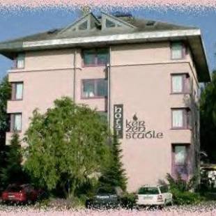 Фотографии гостиницы 
            Hotel Restaurant Kerzenstüble