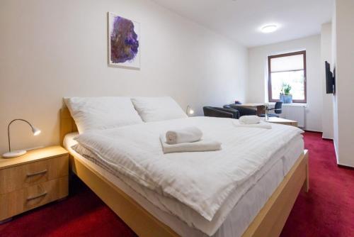 Фотография гостиницы Hotel Ungar