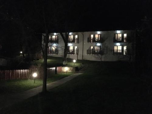 Фотография гостевого дома Pensiunea Flori de Sare