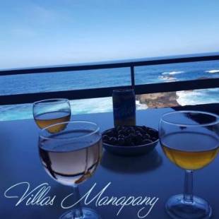 Фотографии гостевого дома 
            Villas Manapany