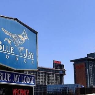 Фотографии гостиницы
Blue Jay Lodge