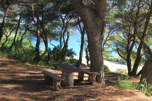 Фотография гостевого дома Apartments by the sea Milna, Vis - 8490