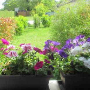 Фотографии гостевого дома
Chambre et Gîte Zen de Beauval- 800 m du Zooparc