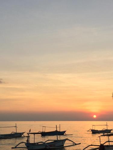 Фотография базы отдыха Mandhara Chico Bungalow