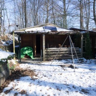 Фотография гостевого дома Waldhütte