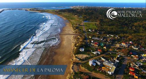 Фотография гостиницы Hotel Palma de Mallorca