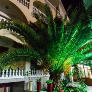 Фотография гостиницы Марта