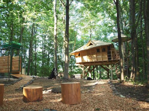 Фотография базы отдыха Treehouses Sněžník