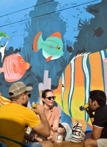 Фотография хостела Distrito Hostel