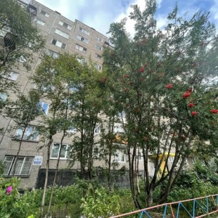 Фотография квартиры Апартаменты Квартира Nebabushkinvariant