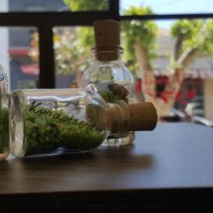 Фотографии гостиницы
Hotel Trifylia