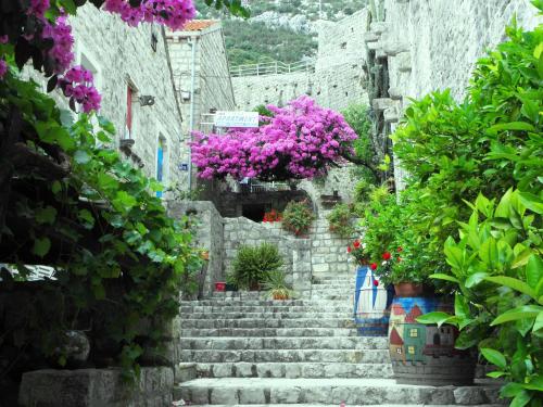 Фотография гостевого дома House Ina Ston