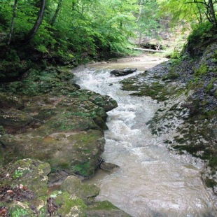 Фотография достопримечательности Ущелье Казачья щель