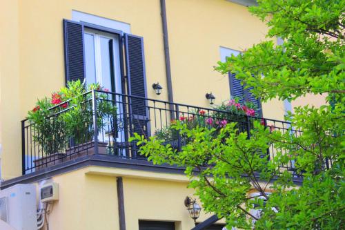 Фотография гостиницы Hotel Charly