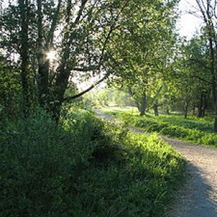 Фотография достопримечательности Гатчинская Чудо-поляна